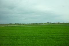 P1020221_risultato