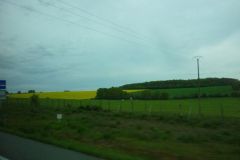 P1020228_risultato