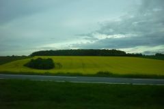P1020230_risultato